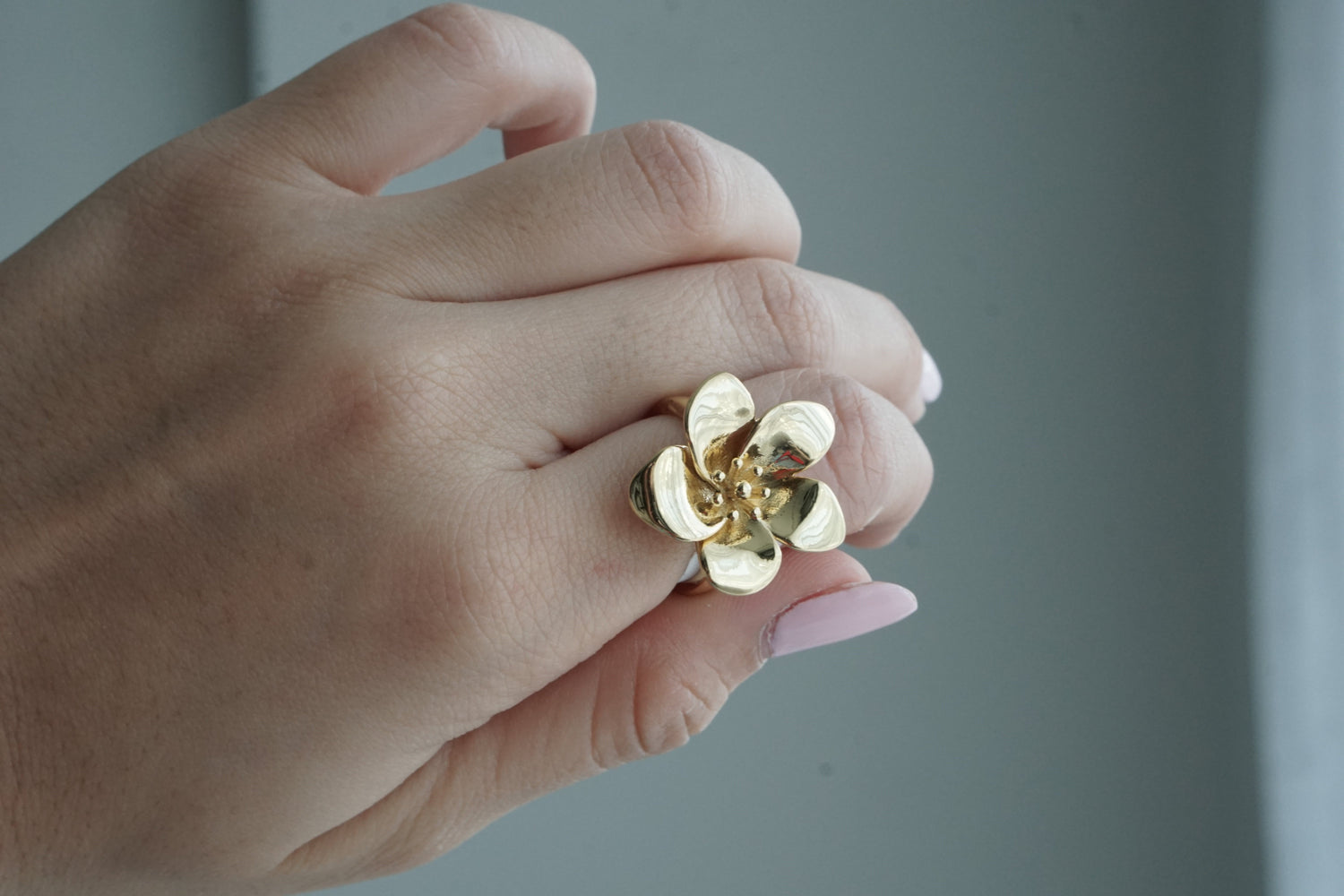 Anillos