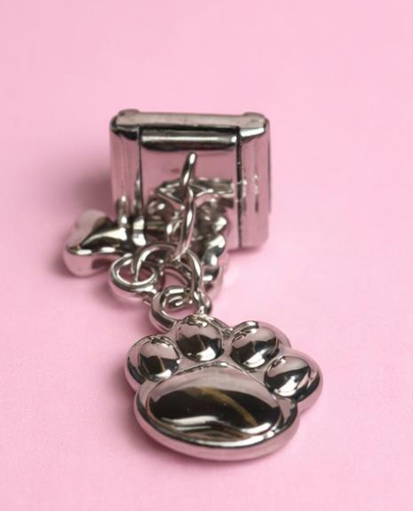 charm italiano colguije dog