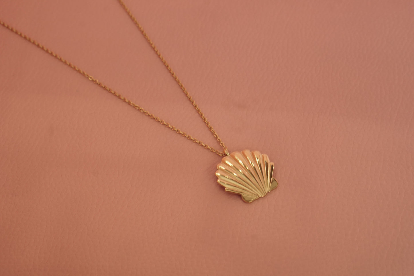 Collar con dije de concha de mar de acero