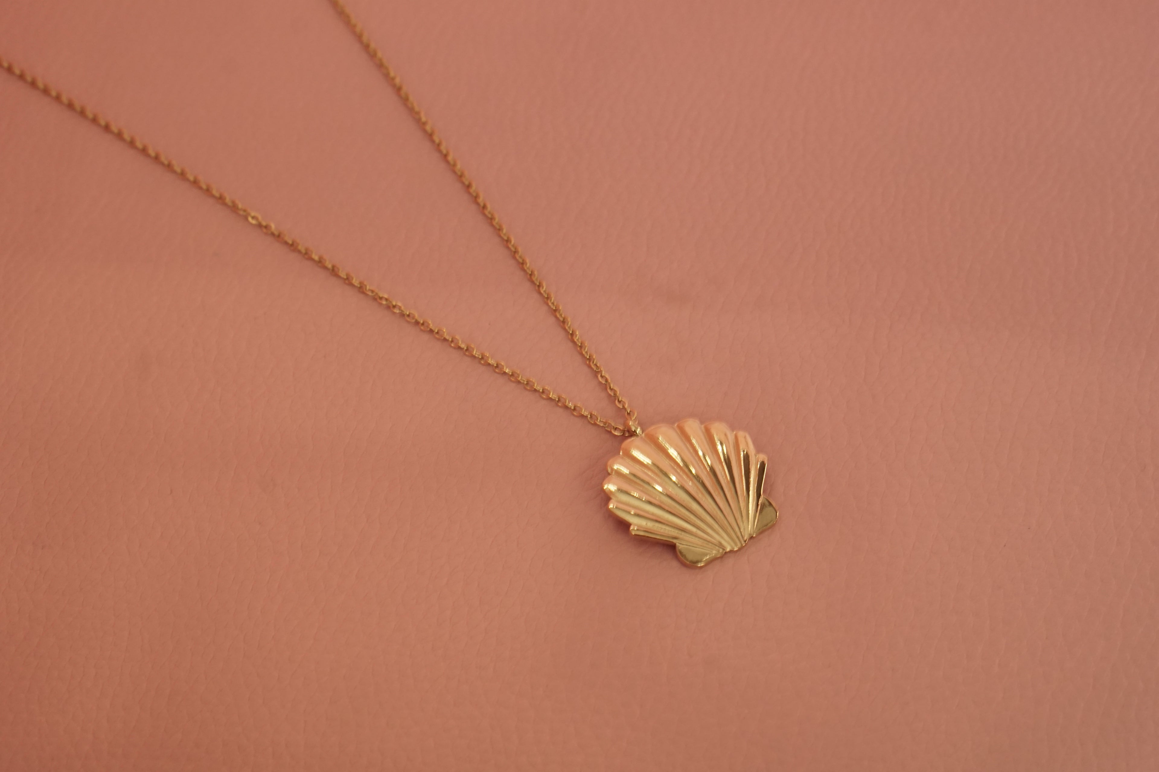 Collar con dije de concha de mar de acero