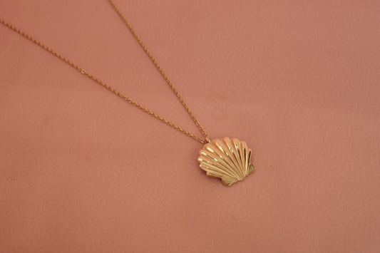 Collar con dije de concha de mar de acero