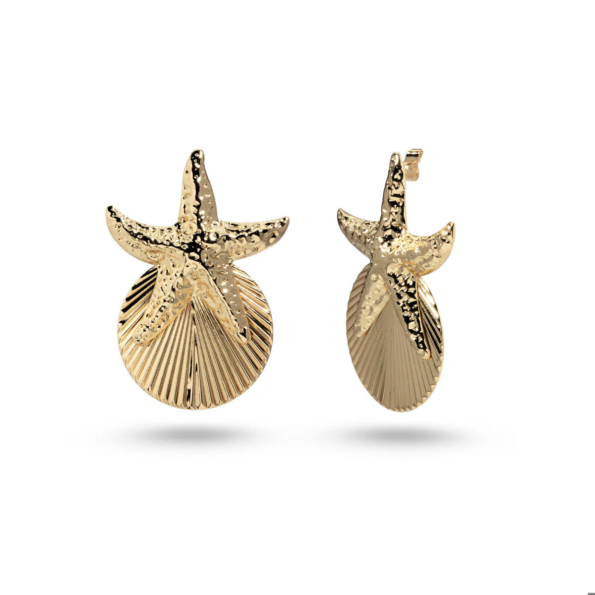 Aretes estrella de mar concha