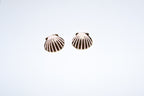 Aretes seashell rosa con dorado