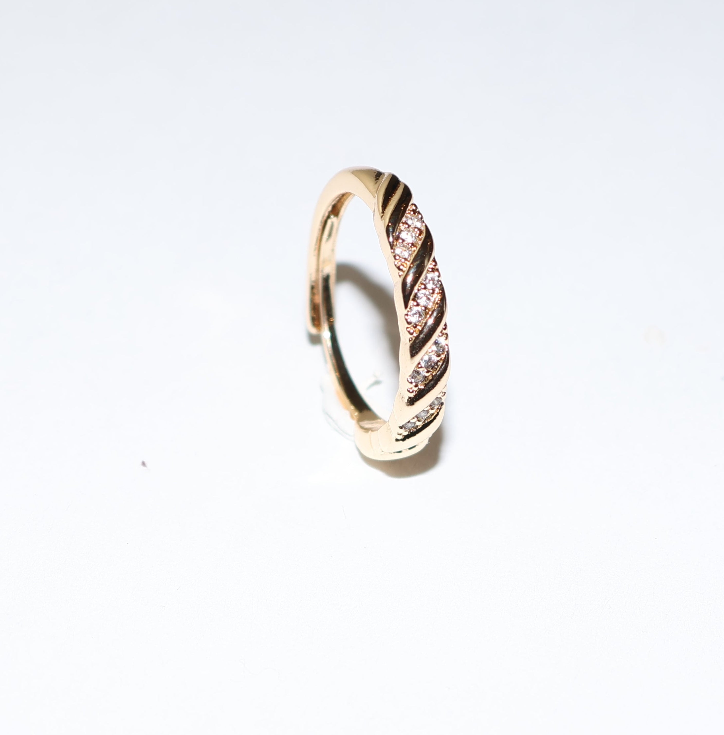Anillo torsal