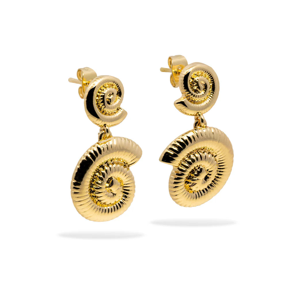 Aretes largos de caracoles